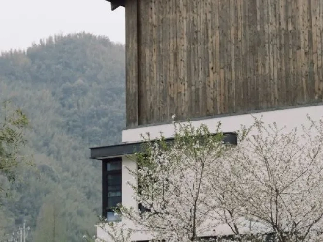 Outside