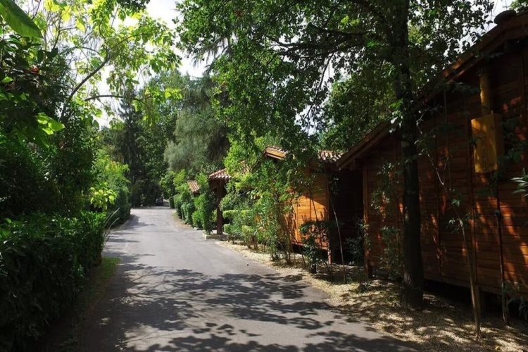 Seven Hills Village photo 41