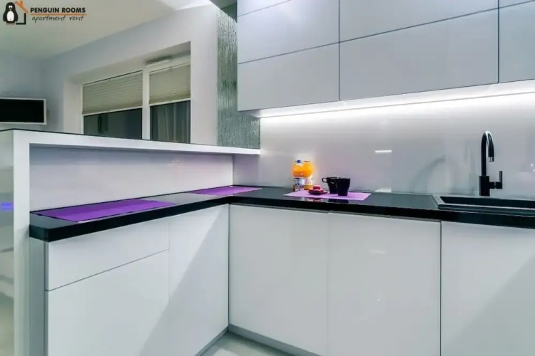 Penguin Rooms - Kielce Downtown Wiosenna