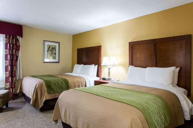 Standard Quadruple room