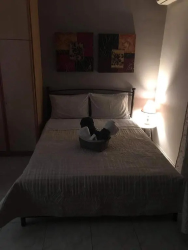 Luxury Apartment ARION 1