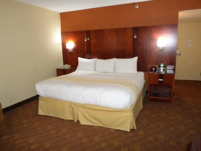 1 Bedroom Double Suite