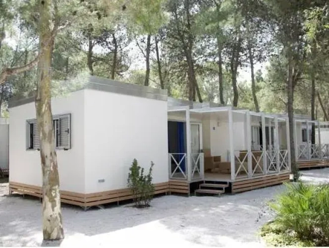 2 Bedrooms Twin Apartment