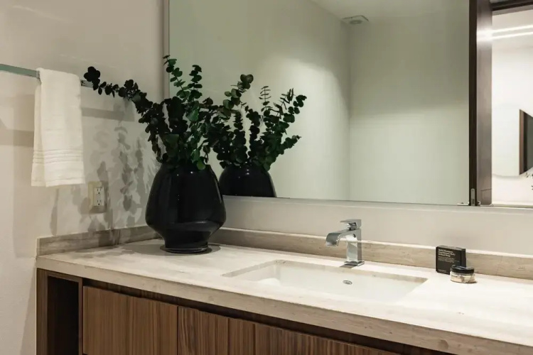 Casai Polanco 2 BR 2BA Sophisticated Suite
