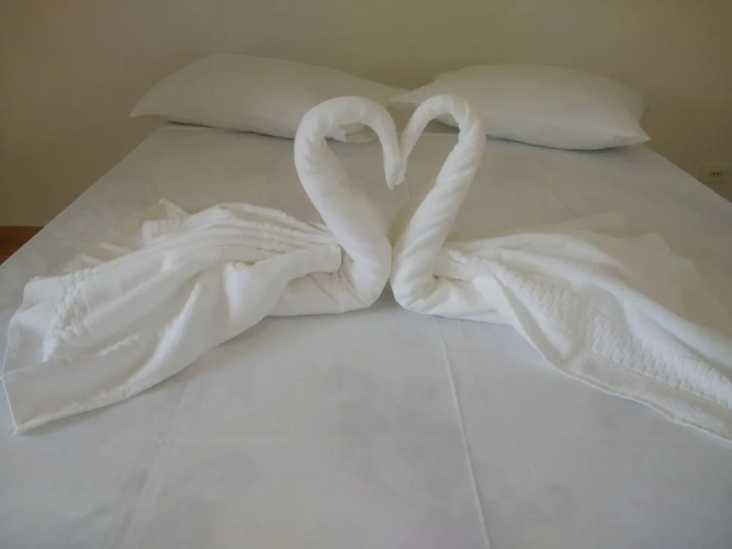 Comfort Suite