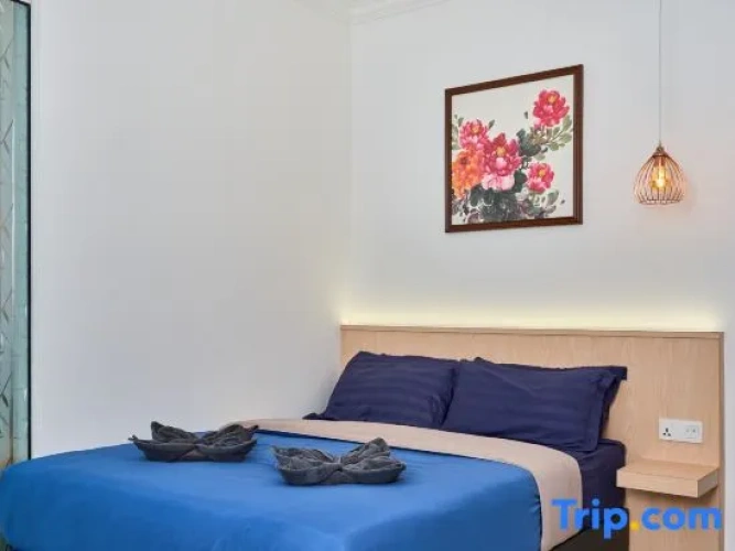 Premier Studio