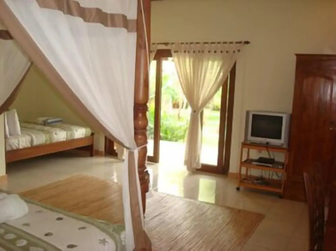 Pazzo Bali