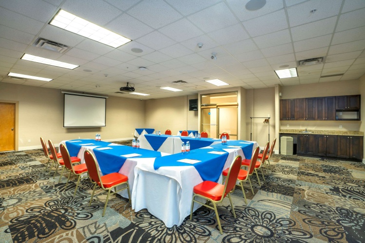 Comfort Inn & Suites Surrey Hotel photo 27