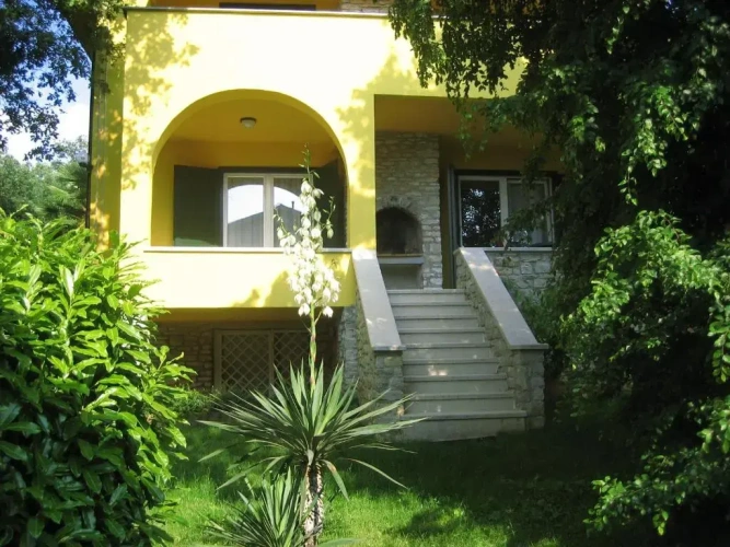 1 Bedroom Comfort Apartment