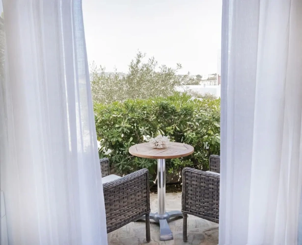 Deluxe Double Suite with garden view