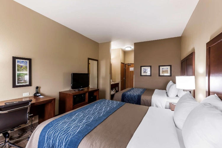 Standard Quadruple room