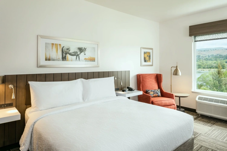 Standard Double room with river view