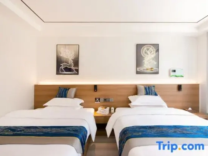Standard Double room with mountain view