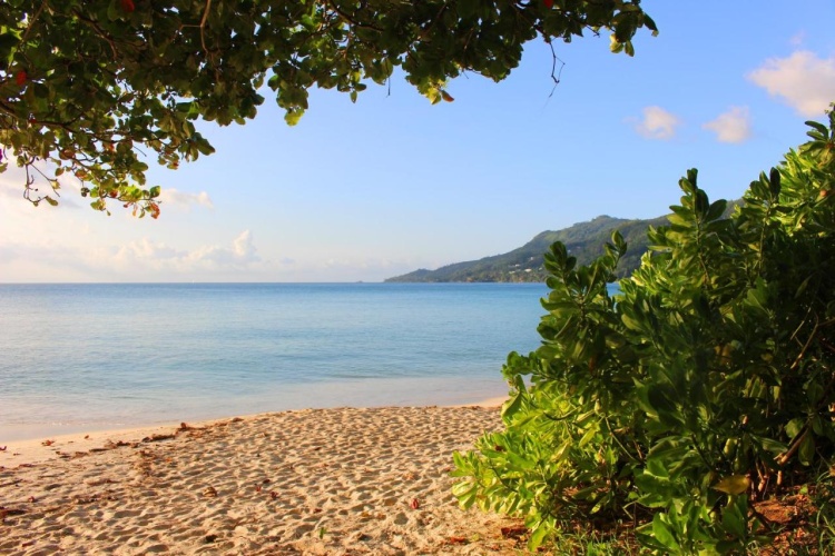 Story Seychelles photo 24