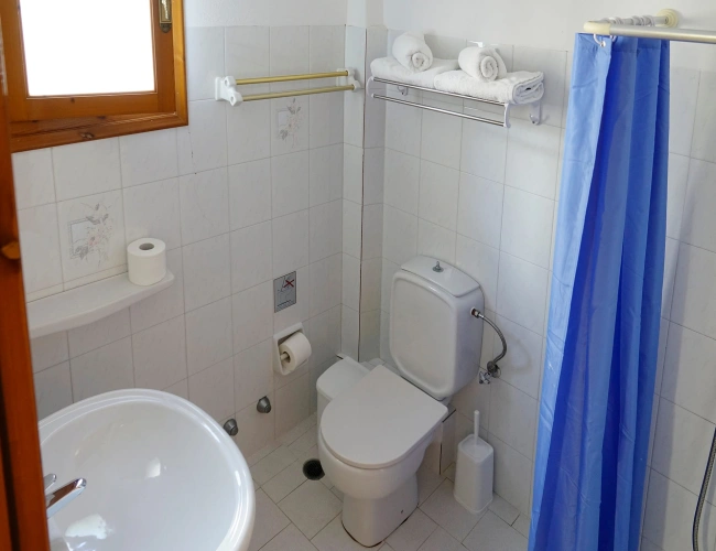 Double Studio with garden view