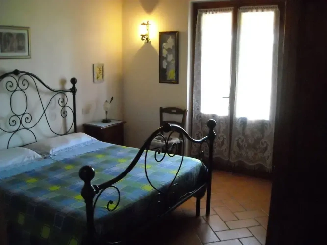 Comfort Apartment