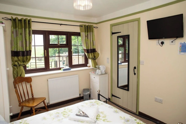 Deluxe Double room with garden view