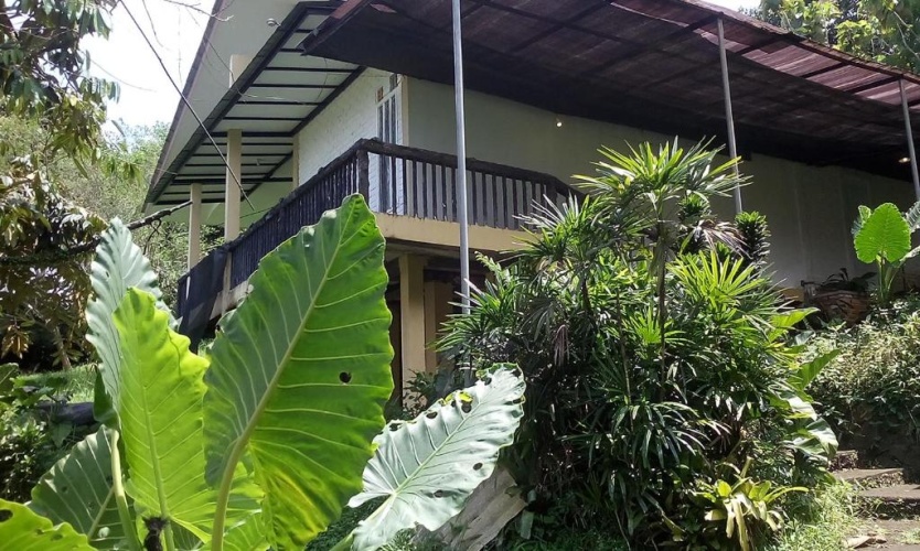 Outside