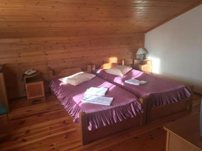 Standard Twin room with balcony and with view