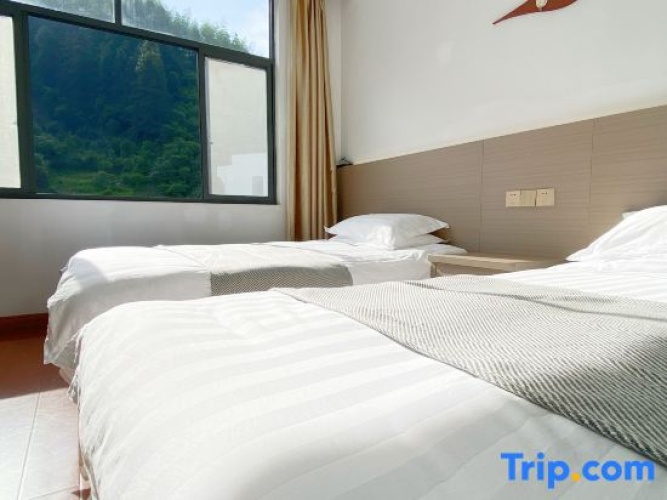 Standard Twin room with mountain view