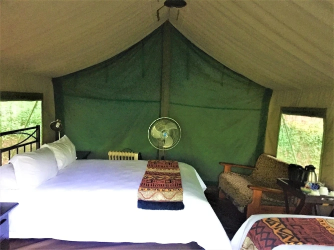 Tent with land view