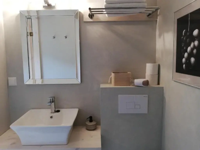 Deluxe Double room with garden view