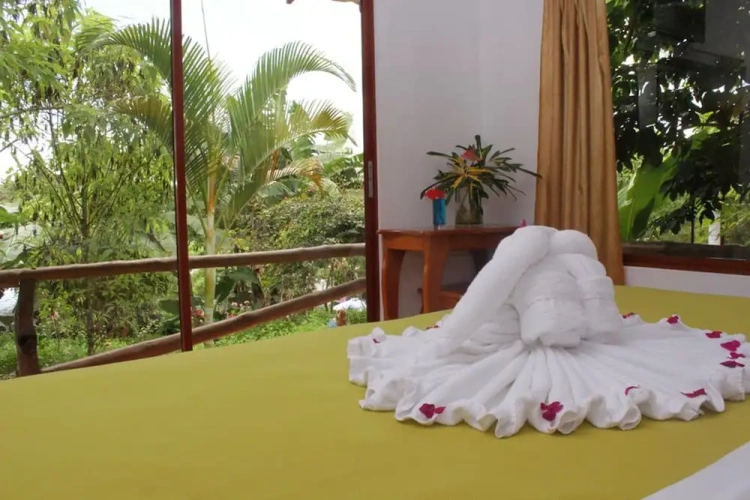 Superior Double room with garden view