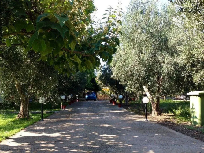 Barbara House