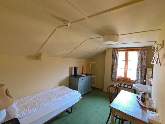 Standard Single room with view