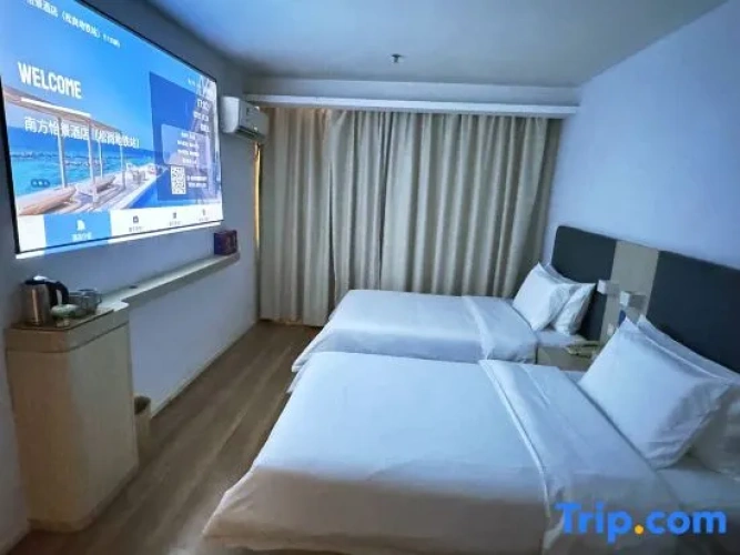 Standard Twin room with city view