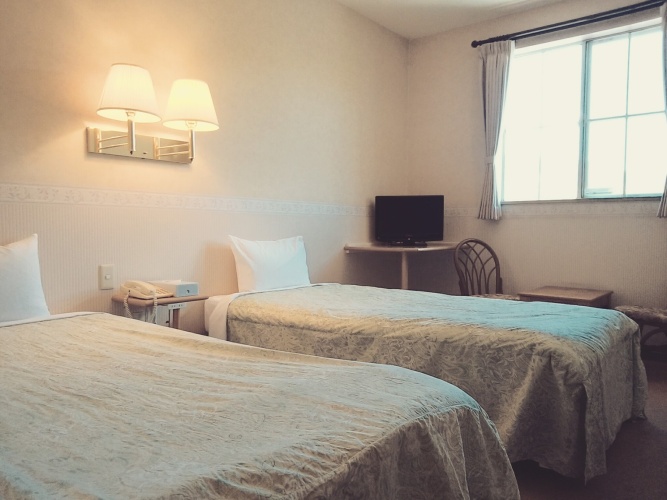 Standard Twin room with lake view