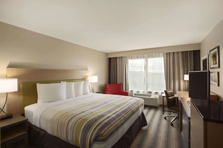 1 Bedroom Suite