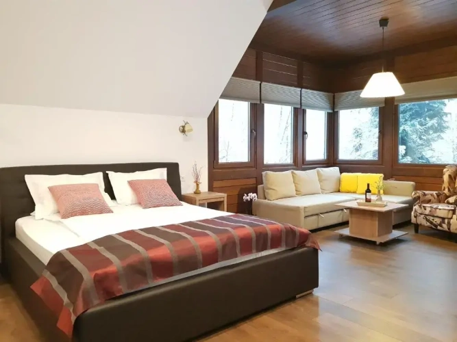 Suite with mountain view
