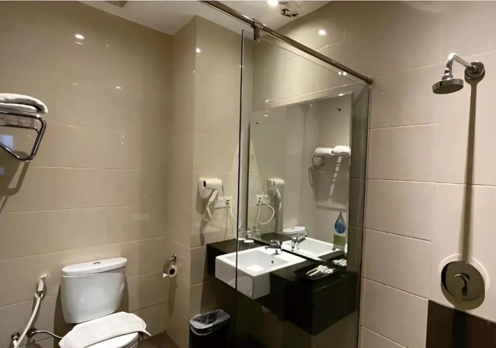 Deluxe Double room with city view