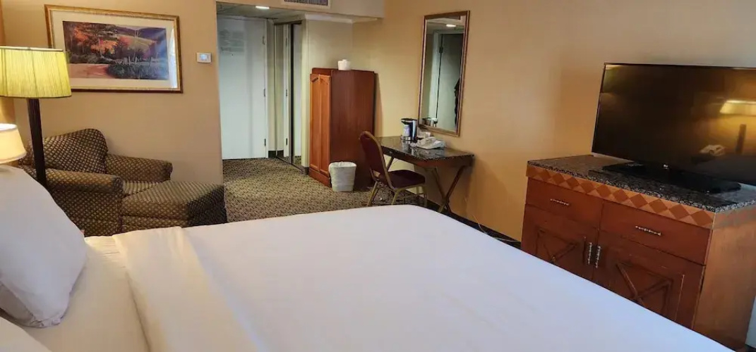 Hotel Xola