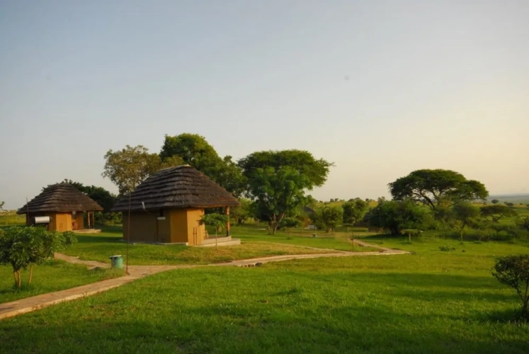 Cottage with park view