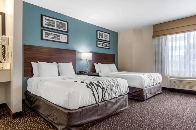 Quadruple Suite