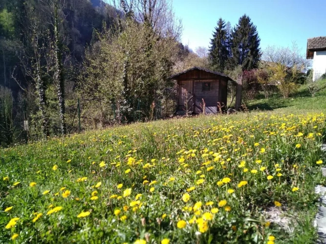 Chalet