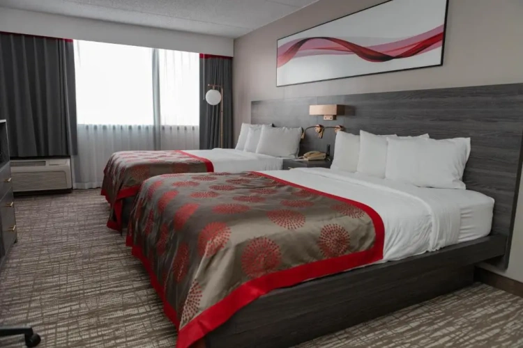 Executive Quadruple room
