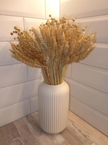 Фотография номера квартиры На сутки 51 на улице Октябрьская