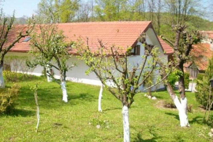 Green Lakes House