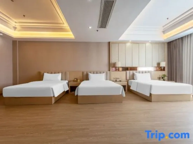 Deluxe Double Family room