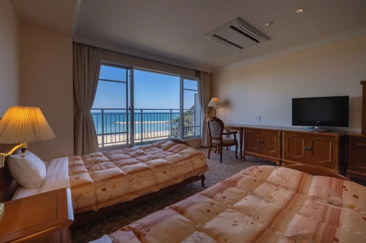 Standard Twin room with ocean view