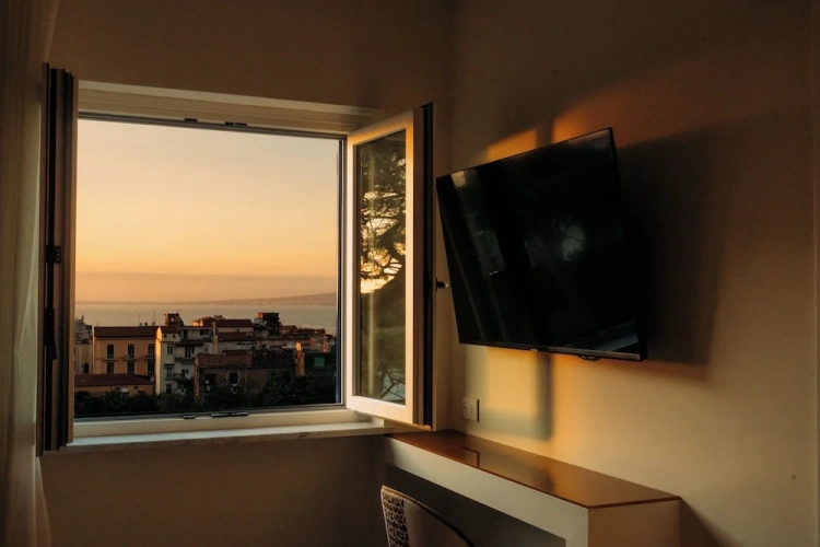 Luxury Suite