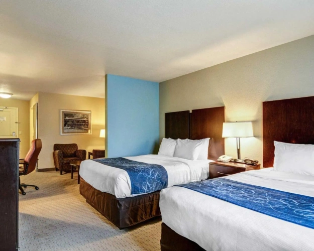 Standard Double room
