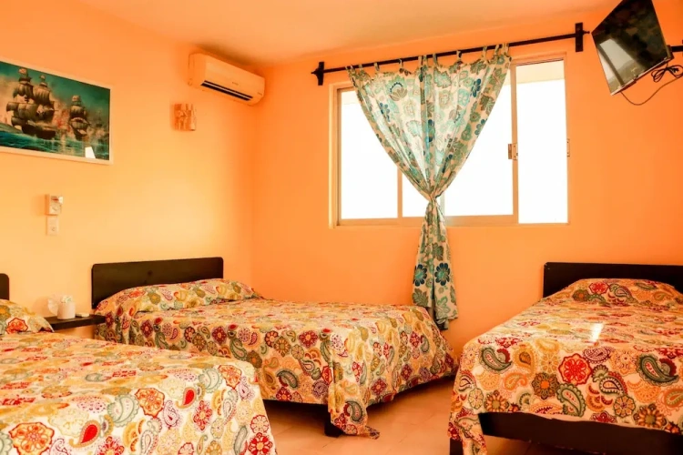 Standard Twin room with view