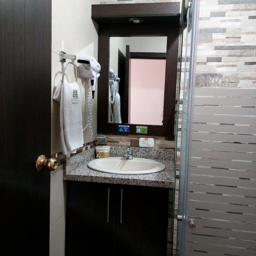 1 Bedroom Executive Single room with city view