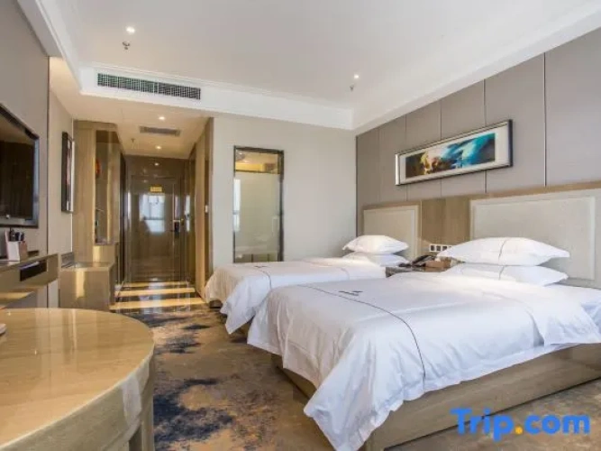 Executive Twin room