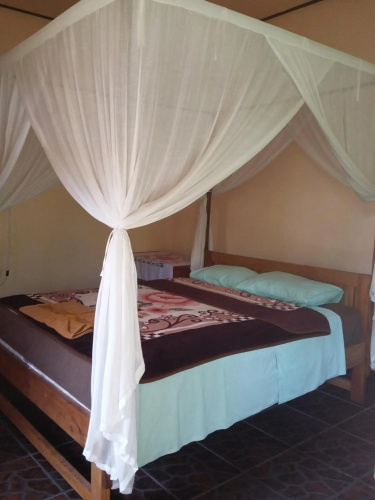 Surya homestay