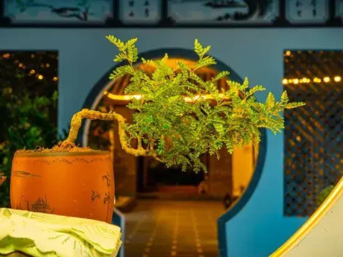 Such as to the boutique Guesthouse
